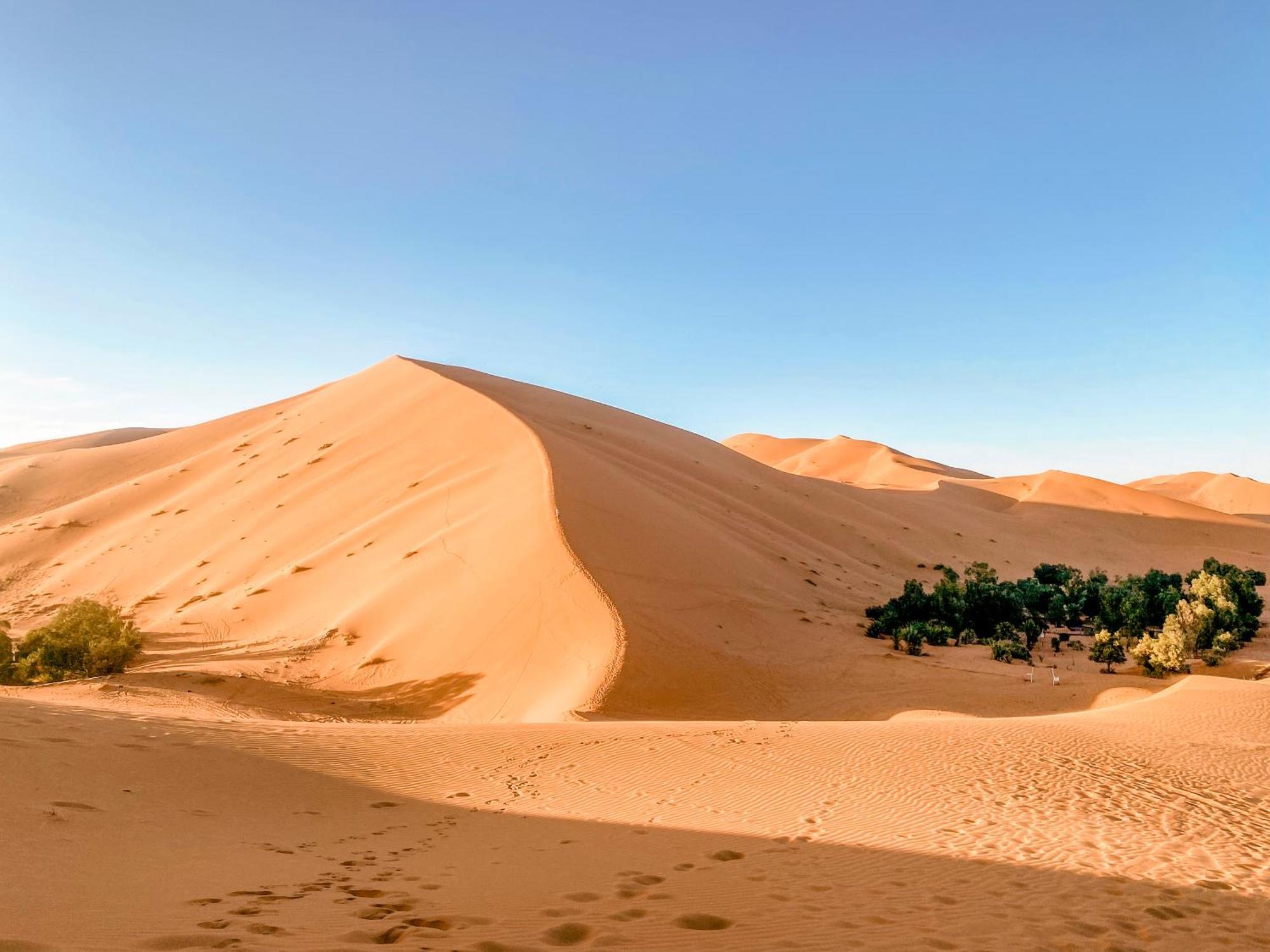 Oasis Desert Camp Obira Мерзуга Экстерьер фото